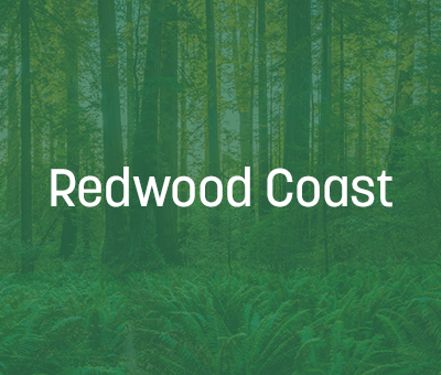 Redwood Coast